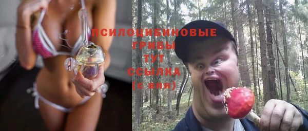 бошки Нея
