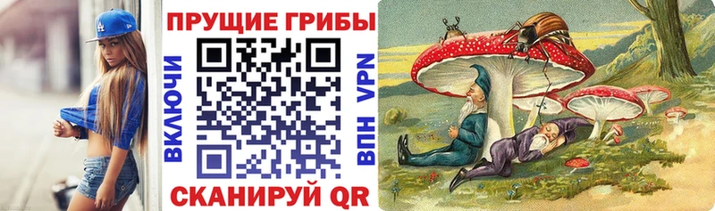 купить  цена  Брянск  Галлюциногенные грибы MAGIC MUSHROOMS 