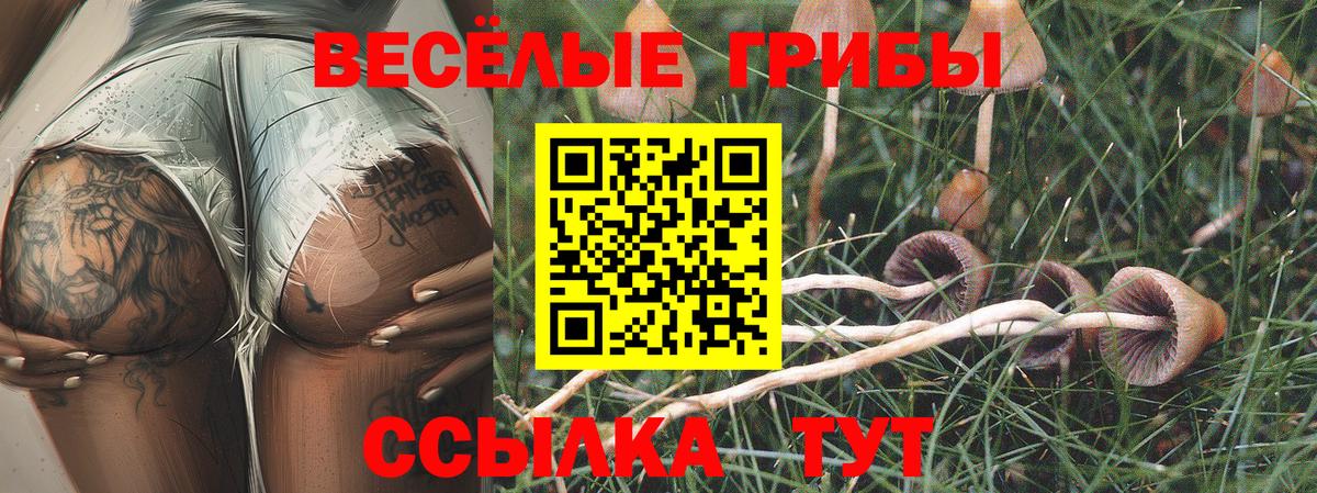 Купить наркотики цена  КОКАИН  Брянск  Конопля  Вход с VPN  Меф   ГАШИШ 